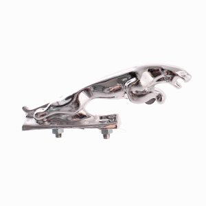 Giaguarino parafango...