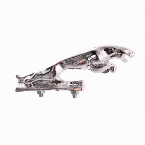 Giaguarino parafango anteriore Ciao...