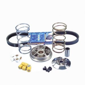 Variatore Polini 2414602...