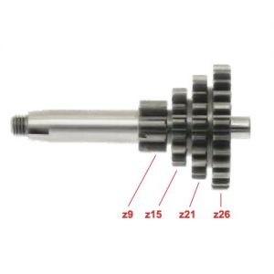 Primario Ape 50 da 9 15 21... 2