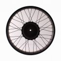 Ruota Fat Bike del 20 posteriore