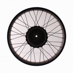 Ruota Fat Bike del 20...