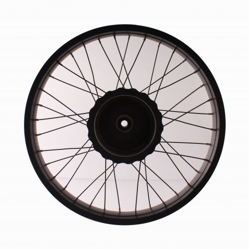 Ruota Fat Bike del 20 posteriore