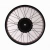 Ruota Fat Bike del 20 posteriore