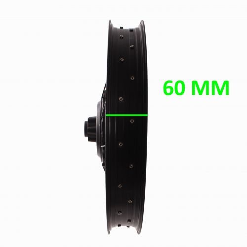 Ruota Fat Bike del 20 posteriore