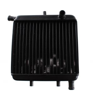 Radiatore acqua Aprilia RS...