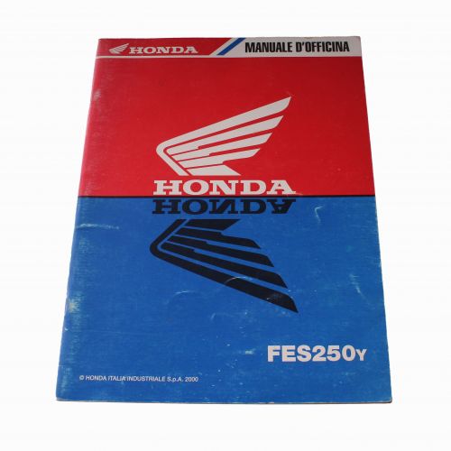Manuale officina Honda Foresight 250 Y