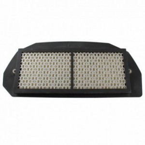 Filtro aria Yamaha YZF R...
