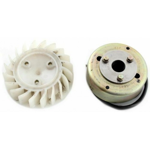 Volano con statore per scooter