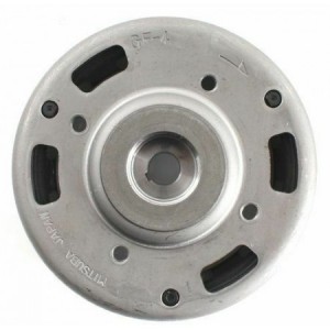 Volano elettronico scooter...